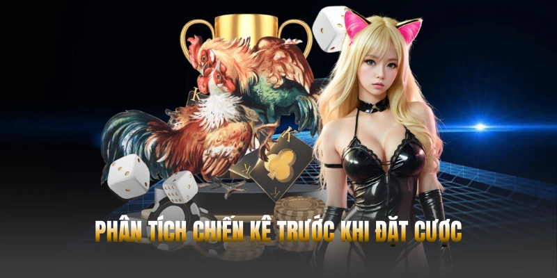 Đá gà Hubet – Trải nghiệm cá cược trực tuyến từ Campuchia 1 Đánh giá chiến kê kỹ lưỡng trước khi đưa ra quyết định cược